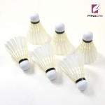 1 Tube FANGCAN FCS-09 Tournament Shuttlecock for Professional Players Badminton Shuttlecock for Competition