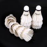 1 Tubes/12 Pcs Top Quality Duck Feather Badminton Shuttlecocks White Single-side Big Broad Shuttlecocks Birdies Badminton Ball