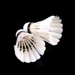 1 Tubes/12 Pcs Top Quality Duck Feather Badminton Shuttlecocks White Single-side Big Broad Shuttlecocks Birdies Badminton Ball