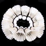 1 Tubes/12 Pcs Top Quality Duck Feather Badminton Shuttlecocks White Single-side Big Broad Shuttlecocks Birdies Badminton Ball