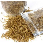 100g Dried Mealworms for Aquarium Fish Feed Reptile Turtle Hamster Wild Bird Pet Food Feeding toy