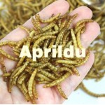 100g Dried Mealworms for Aquarium Fish Feed Reptile Turtle Hamster Wild Bird Pet Food Feeding toy