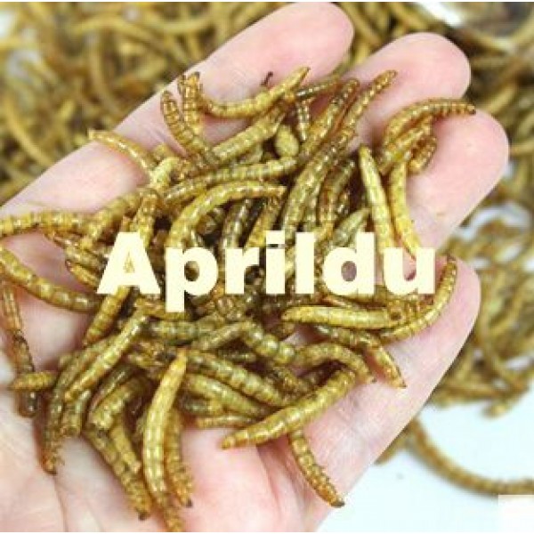 100g Dried Mealworms for Aquarium Fish Feed Reptile Turtle Hamster Wild Bird Pet Food Feeding toy