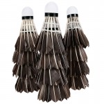 12 Pcs/box Portable Class A Shuttlecock Black Duck Feather Badminton Balls Shuttlecocks Sport Shuttlecock For Badminton Training