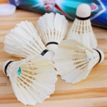 12Pcs Plastic Professional Badminton Balls Portable White Goose Feather Training Badminton Ball Shuttlecocks Sports Accessories