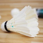 12Pcs Plastic Professional Badminton Balls Portable White Goose Feather Training Badminton Ball Shuttlecocks Sports Accessories