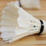 12Pcs Plastic Professional Badminton Balls Portable White Goose Feather Training Badminton Ball Shuttlecocks Sports Accessories