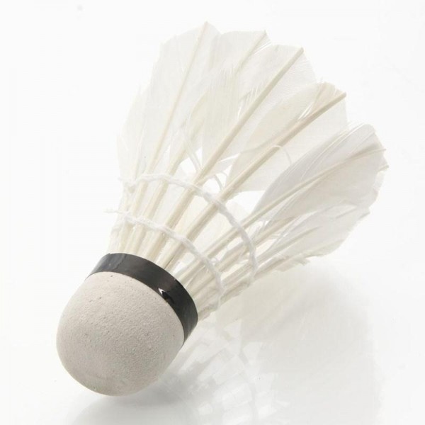 12Pcs Plastic Professional Badminton Balls Portable White Goose Feather Training Badminton Ball Shuttlecocks Sports Accessories