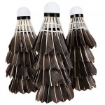 12pcs REGAIL Class A Duck Feather Shuttlecocks Durable Lightweight Birdies Badminton Ball Game Sports Training 74-76 Speed Rate