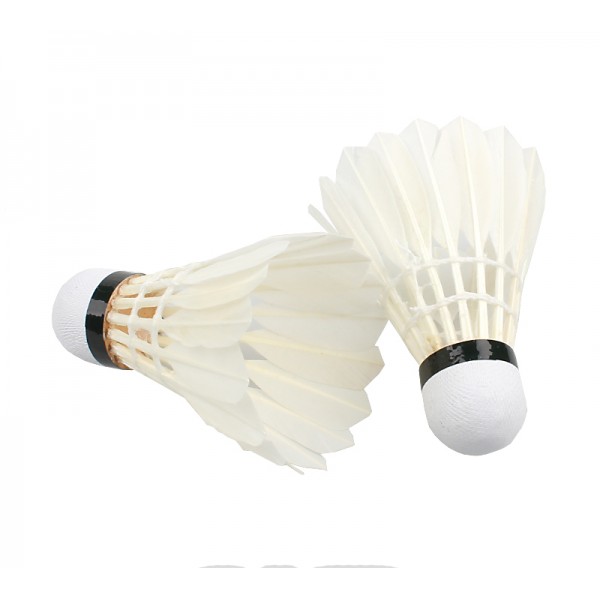 12x Professional Durable Regail A-Class King Badminton Shuttlecock For Training Match