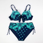 2017 Latest Plus Size Bikini Swimwear Women Sexy Beach Low Waist Vintage Girls Party Swimsuit Floral Center Bow Print Bikinis