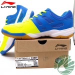 2017 Li-ning 100% Genuine Training Badminton Shoes Light And Comfortable Badminton Sneakers AYTM041