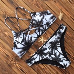 2017 Sexy Bikinis Women Swimsuit Push Up Swimwear Female Brazilian Bikini set Bandeau Summer Beach Bathing Suit Bikini