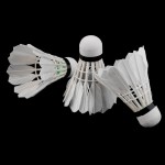 3pcs Training White duck feathers Badminton Shuttlecocks Birdies Ball Game Sport Entertainment Product Badminton Balls with Can