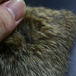 4 PCS/Pack Natural Coney Genuine Rabbit Fur Animal Pelt Craft Skin Hide Hair Fly Fishing Tying Material for Nymph Patterns Flies