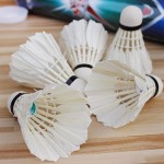 4Pcs Plastic Professional Badminton Balls Portable White Goose Feather Training Badminton Ball Shuttlecocks Sports Accessories