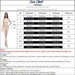 Ariel Sarah Brand 2017 Bikinis Women Super Push Up Bikini Bandage Swimsuit Swimwear Bathing Suit Women Lady Hipster Biquini Q189