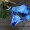blue1 -$1.33