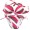 red  Stripe bikini9 -$6.21