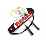 High Quality Outdoor Sports Professional Damping Badminton Racket Racquet with Carry Bag Regail 9300