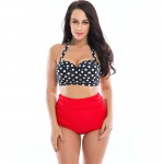NAKIAEOI Plus Size Swimwear Women Bikini High Waist Swimsuit 2017 New Halter Top Bathing Suits Retro Dot Push Up Bikini Set 4XL