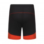 New Badminton shorts, sports shorts cool dry , Tennis shorts v7011