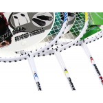 Regail 9300 Outdoor Sports Professional Damping Badminton Racket Racquet with Carry Bag