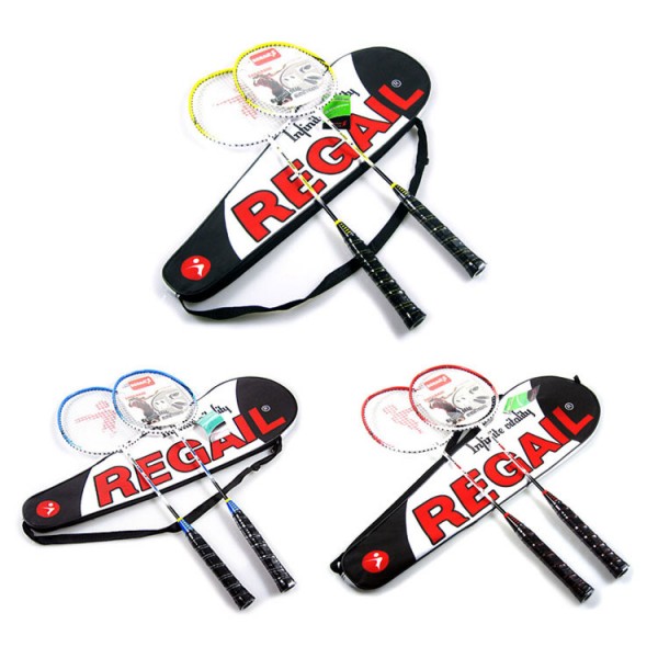Regail 9300 Outdoor Sports Professional Damping Badminton Racket Racquet with Carry Bag