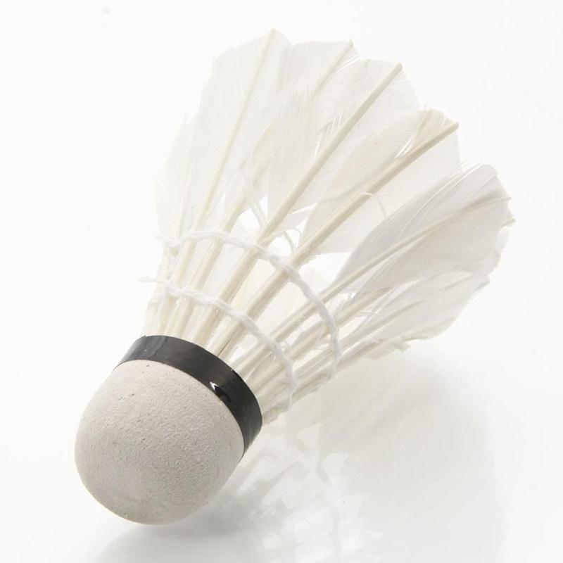 12Pcs-Plastic-Professional-Badminton-Balls-Portable-White-Goose-Feather-Training-Badminton-Ball-Shut-32793347117