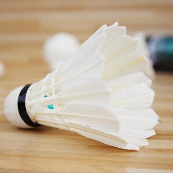 12Pcs-Plastic-Professional-Badminton-Balls-Portable-White-Goose-Feather-Training-Badminton-Ball-Shut-32793347117