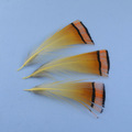 6PCS-14-Red-amp-Black-Larva-Pan-Fish-Fly-White-Fish-Blue-Gill-Perch-Fishing-Nymph-Lure-32583174508