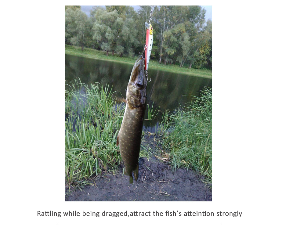 Minnow-Crankbait-Hard-Bait-Tight-Wobble-Slow-Floating-Jerkbait-High-Quality-ABS-Model-55g-8cm-Fishin-32494639284