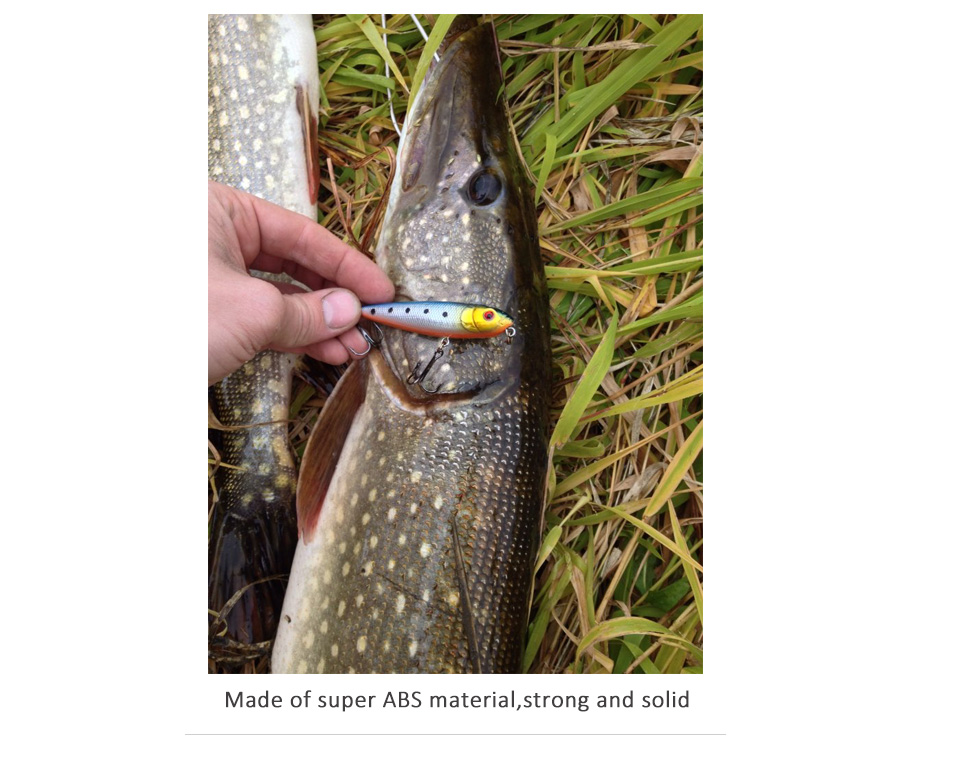Pencil-Fishing-Lures-3D-eyes-8CM-9G-6-Treble-Hooks-Plastic-Wobbler-Artificial-Hard-Bait-Floating-Sur-32494014403