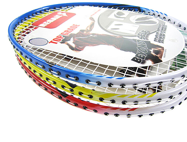 Regail-9300-Outdoor-Sports-Professional-Damping-Badminton-Racket-Racquet-with-Carry-Bag-32285540608